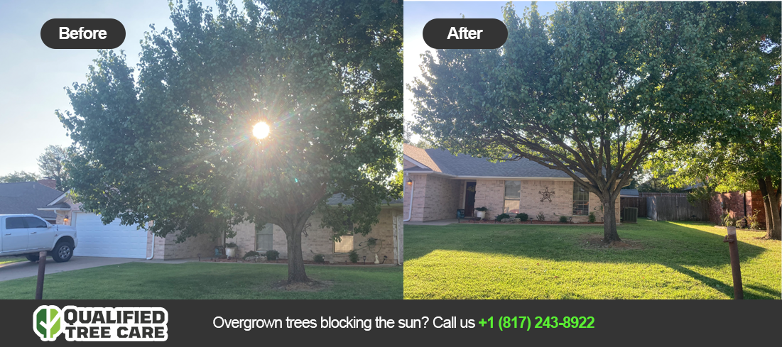 Before & After o